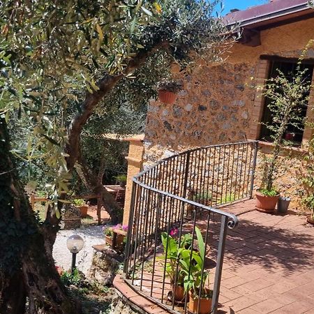 La Merla Del Tasso Camaiore Exterior foto