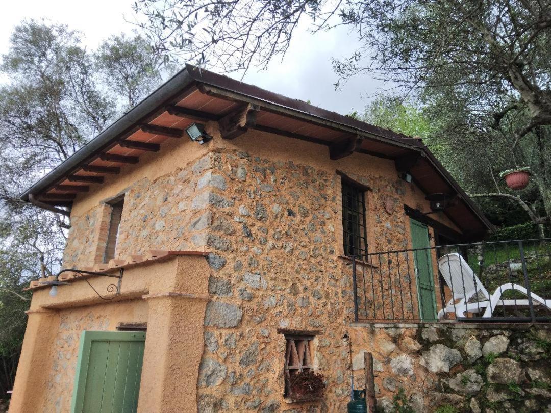 La Merla Del Tasso Camaiore Exterior foto